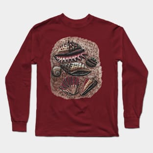 Exotic Seashells Long Sleeve T-Shirt